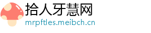 拾人牙慧网
